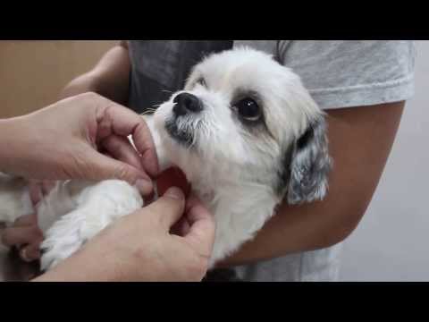 how to treat x shaped legs
