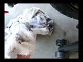 Cleaning/Lubing Your Chain Cleaning/Lubing Your Chain
