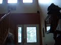 A day in the life of Lukas (written, produced, and directed by Lukas) 68
