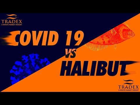 3MMI - COVID-19 vs Halibut: How Will It Affect the Upcoming Halibut