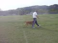 Reese\ Reese\