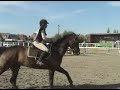 CCE Herchies Steph Briljant 60cm cso