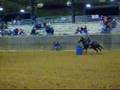 videos de me and my horsey stinger!!!