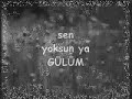 kelebek-baris-kararli-s-per-sarki-amatr-mp4-.html