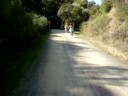 RUTA CICLOTURISTA POR LA VÍA VERDE DE LA SIERRA RUTA CICLOTURISTA POR LA VÍA VERDE DE LA SIERRA