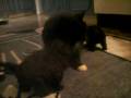 videos de eky affe