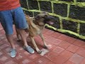 Bite Trial