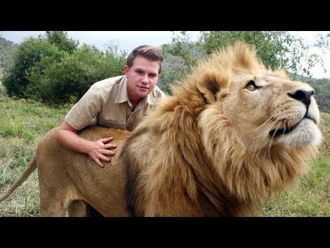 lion - Lion Tamer Teenager In South Africa SUBSCRIBE: http://bit.ly/Oc61Hj WHILE most teenagers are playing computer games, Shandor Larenty likes to indulge in a di...