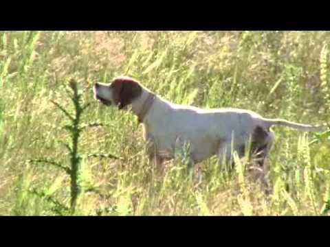 Imagen de previsualización de YouTube