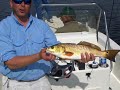 Speckled Trout & Redfish Fishing Trip in Louisiana