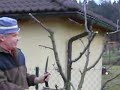 Moje zahrada