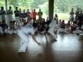 capoeira cdo.wmv