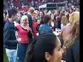 75 jaar ijsselmeervogels 75 jaar ijsselmeervogels