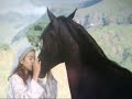 Horses- One Love, One Lifetime