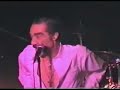 Andre Williams & Green Hornet live in Belgrade
