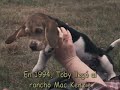 la historia de toby y sheila: una pata que adopto un perrito, en una granja de los mac kenzie en usa.