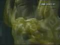 Bodybuilder-Johnnie-