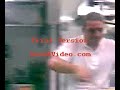 La scimma che lavora La scimma che lavora