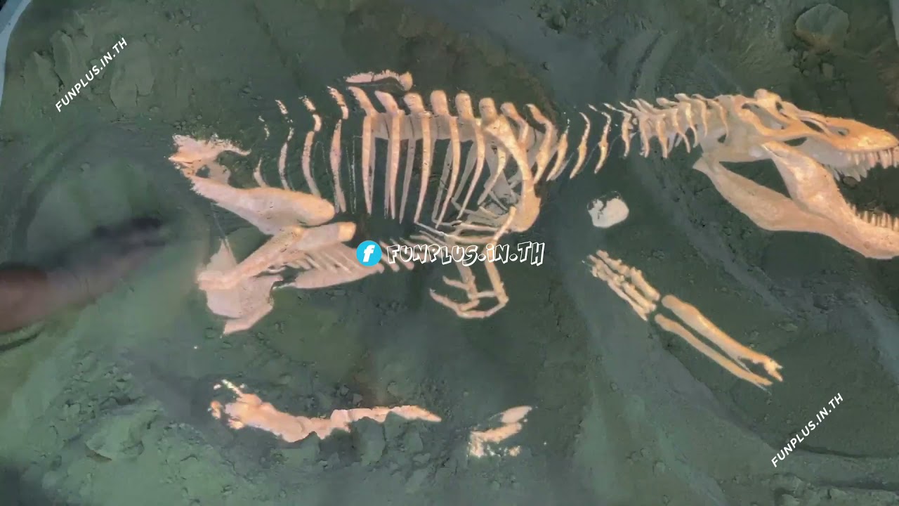 ขุดซากไดโนเสาร์จากทรายจริง