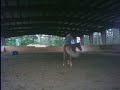 the pony again. this time it's riley riding. and he won't backup.