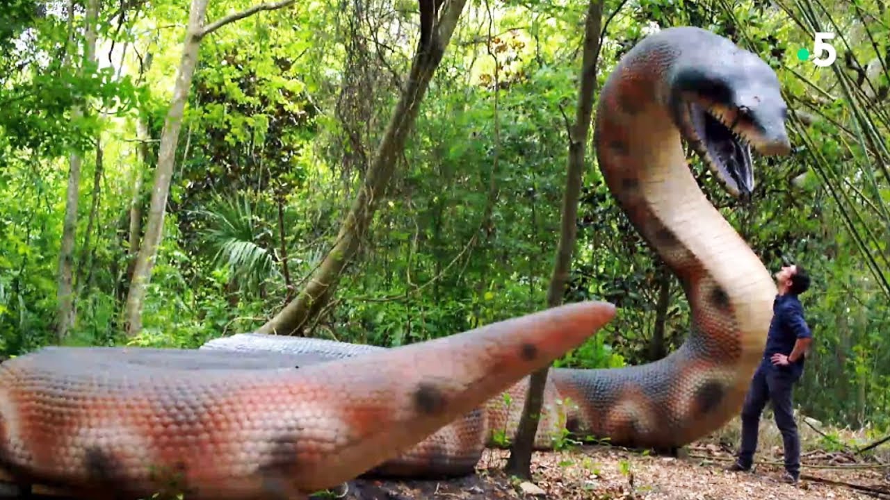 Documentaire Titanoboa le serpent géant disparu