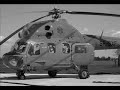Search Video