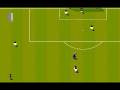 videos de sws_003.avi