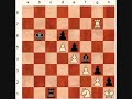 Suicide Rook Stalemate Draw