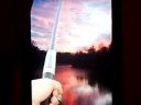 iFish iFish