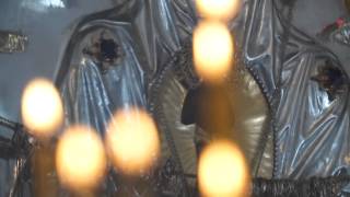 "Святая Заступница". Фильм об Албазинской иконе Божией Матери