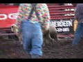 Mutton Busting