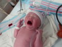 Levi Jonathan Becker Levi Jonathan Becker