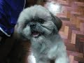 062508 - Hugs Wants McDo Quarter Pounder