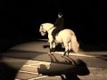 Lipizzaner