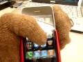 ?????iPhone ????????????? ?????iPhone ?????????????