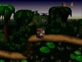 DKC: Barrel Cannon Canyon w/shortcuts+Bonus Rooms-56 seconds DKC: Barrel Cannon Canyon w/shortcuts+Bonus Rooms-56 seconds