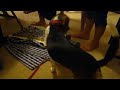Samwise and Tobi play