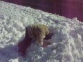 Winter Fun with Carter Bean