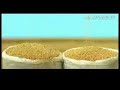 Publicidad para Quilmes (Arg) - Gotas