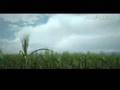 Publicidad para Quilmes (Arg) - Gotas