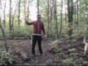 the legend of zelda in the 21st century episode 2