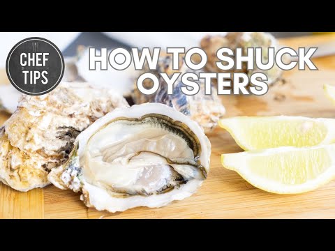 how to properly open an oyster