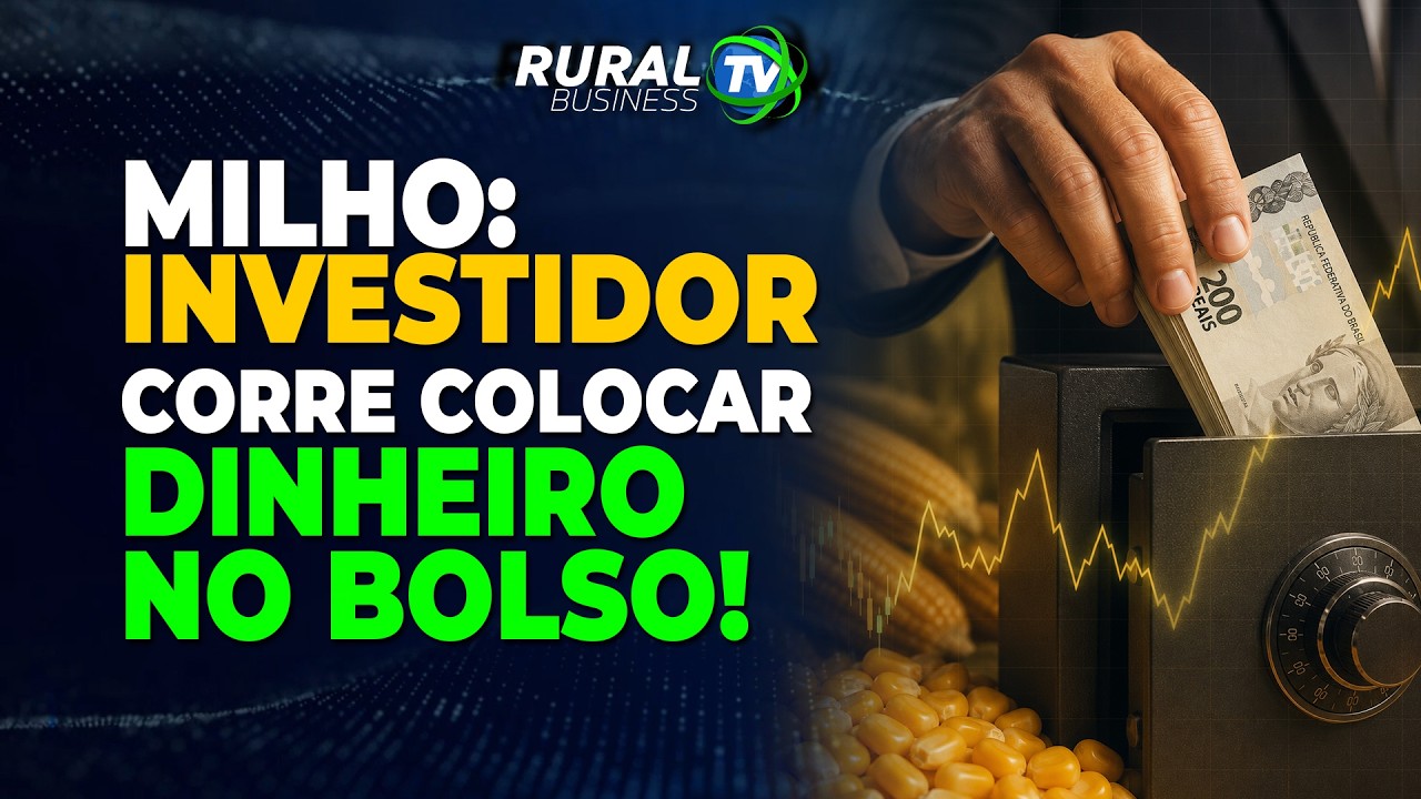 MILHO: INVESTIDOR CORRE COLOCAR DINHEIRO NO BOLSO!