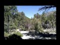 Fletcher Canyon - Mt. Charleston Las Vegas, NV