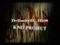 Preview DelimiteD HitS KOF NO DEAD