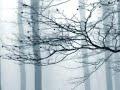 Trentem�ller: Evil Dub