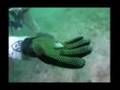Keep Lake Powell Mussel Free