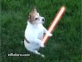 el gran jedi el gran jedi