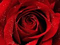 Time After Time