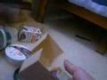 videos de Holding Leopard Geckos (read Description)